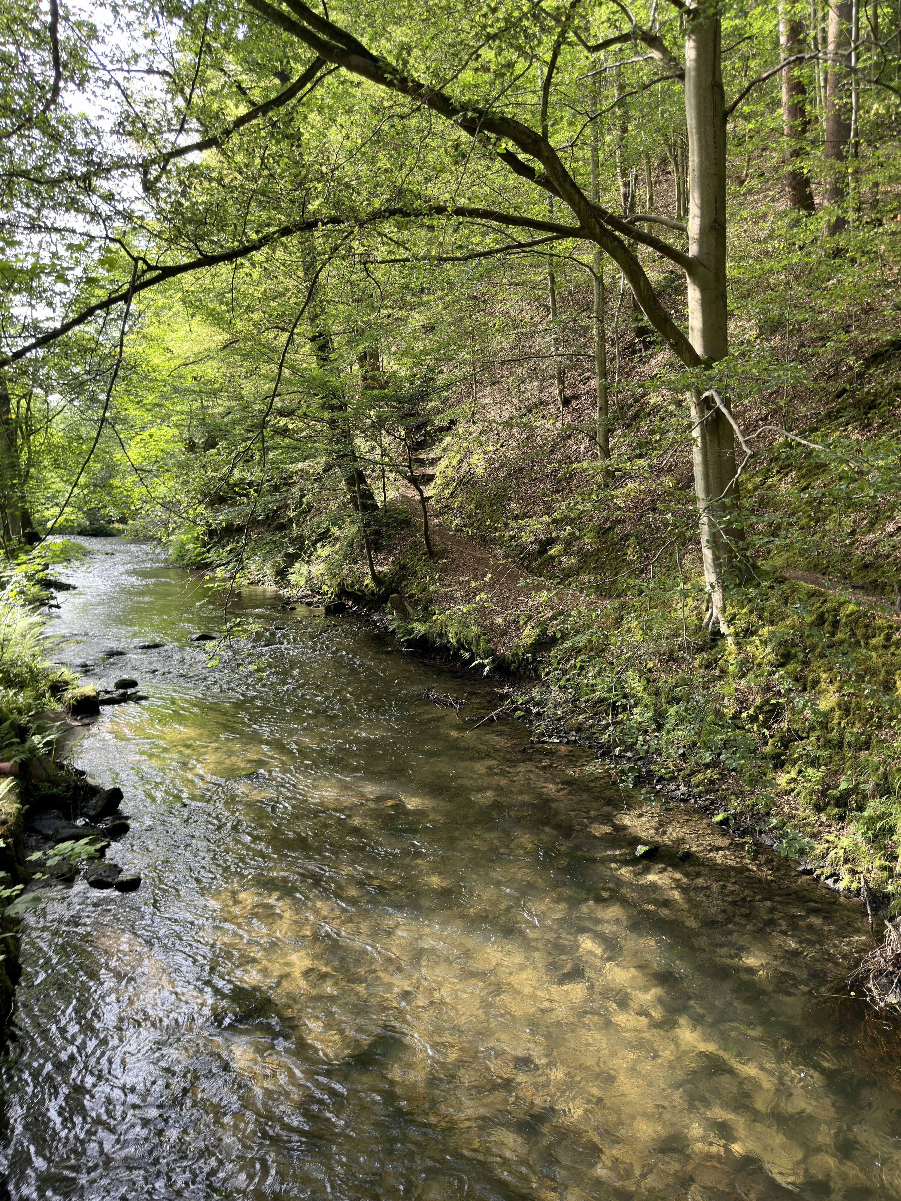 Forsthaus im Kirnitzschtal - Am Flussbett der Kirnitzsch