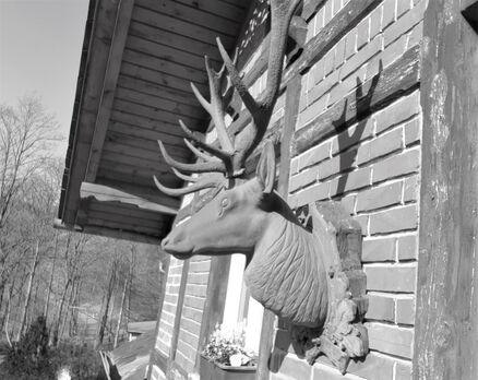 Historische Aufnahme vom Forsthaus Kirnitzschtal