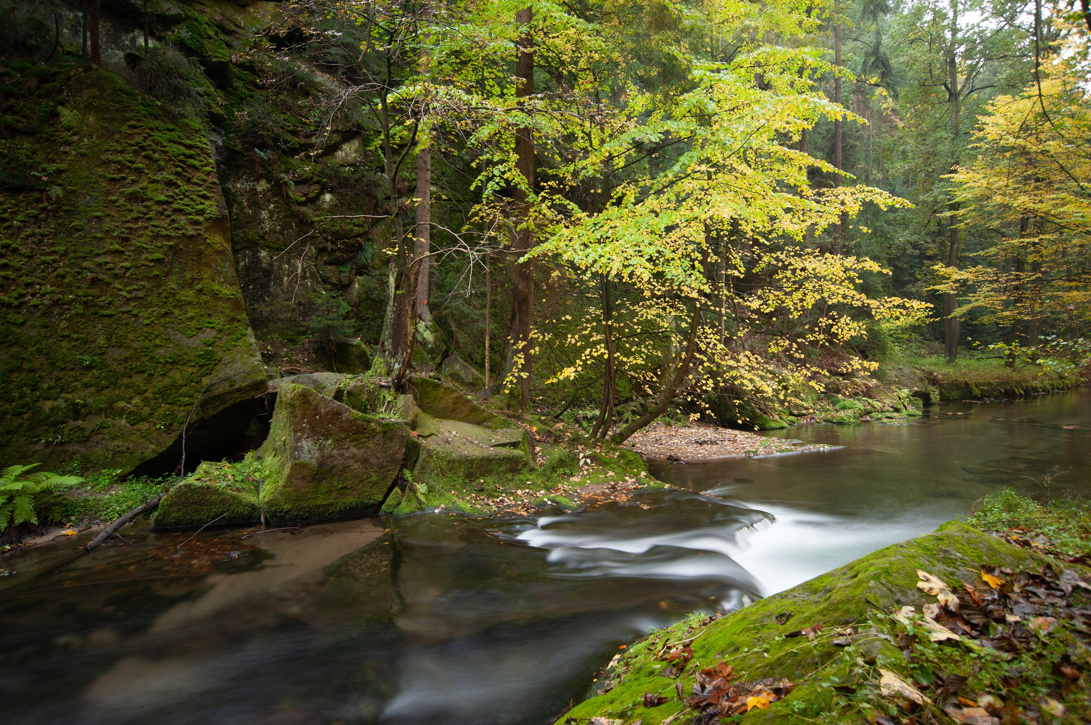 Kirnitzschtal Sächsische Schweiz