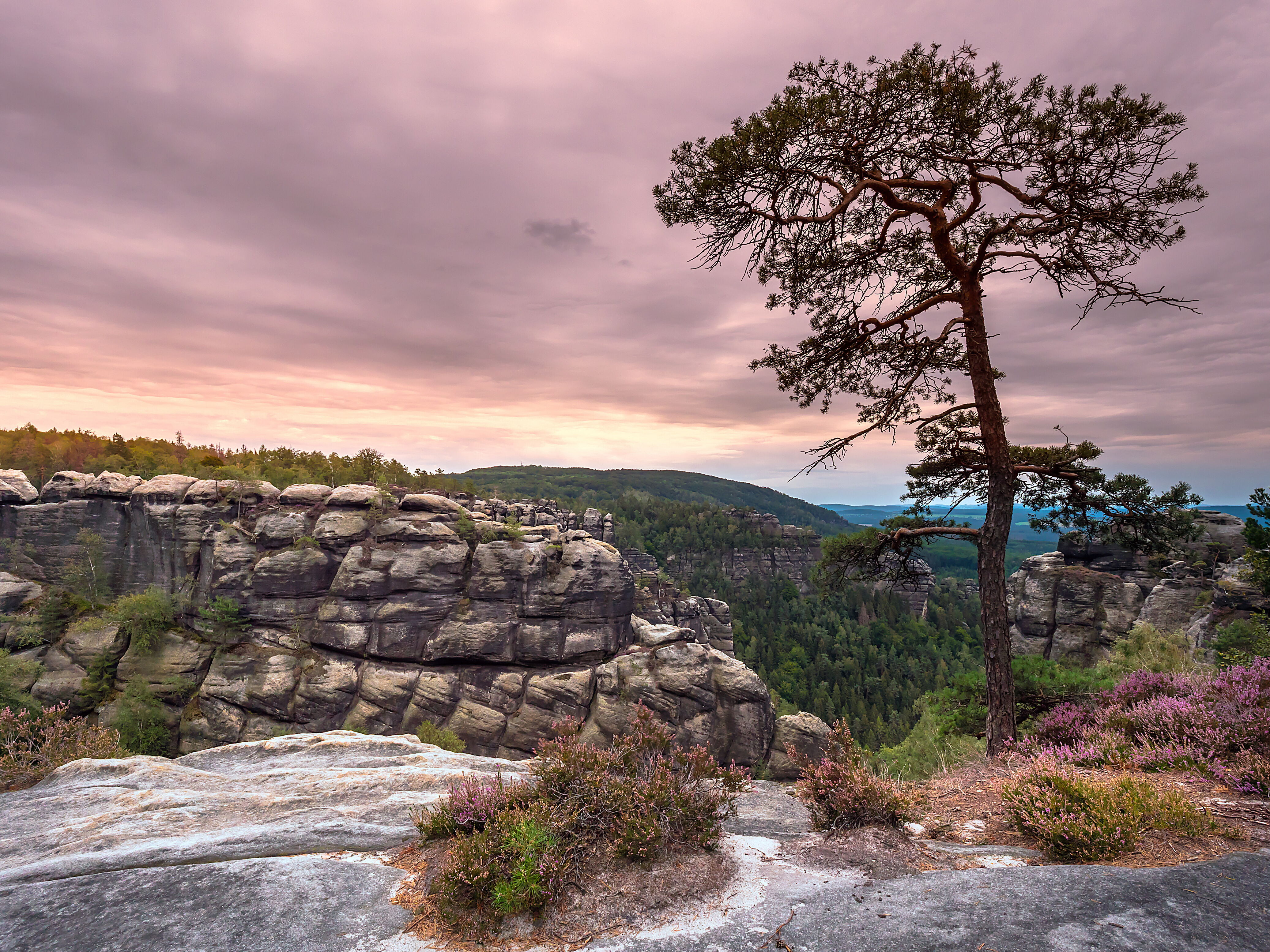 Ausblick Heilige Stiege Sächsische Schweiz