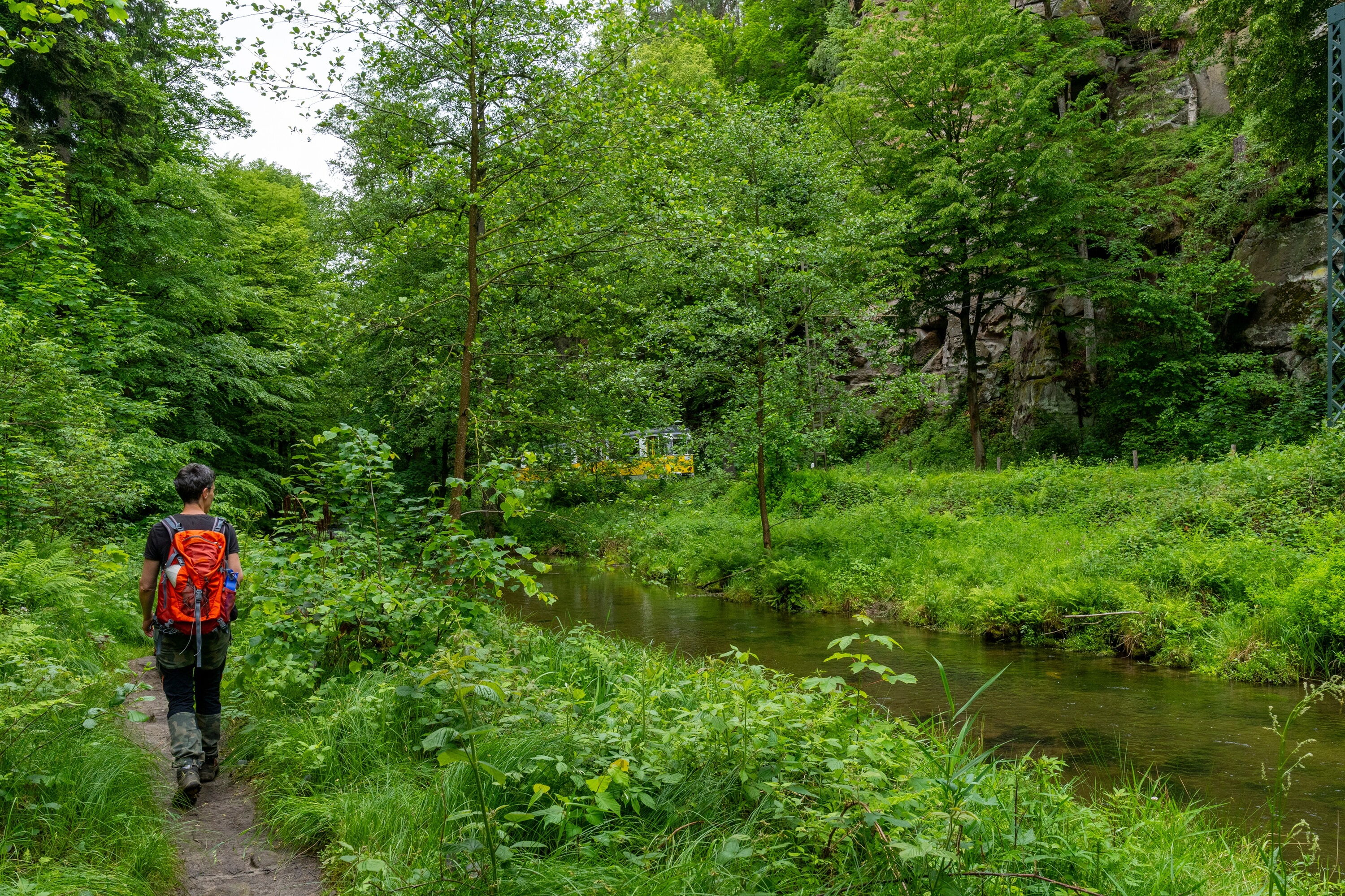 Flößersteig im Kirnitzschtal