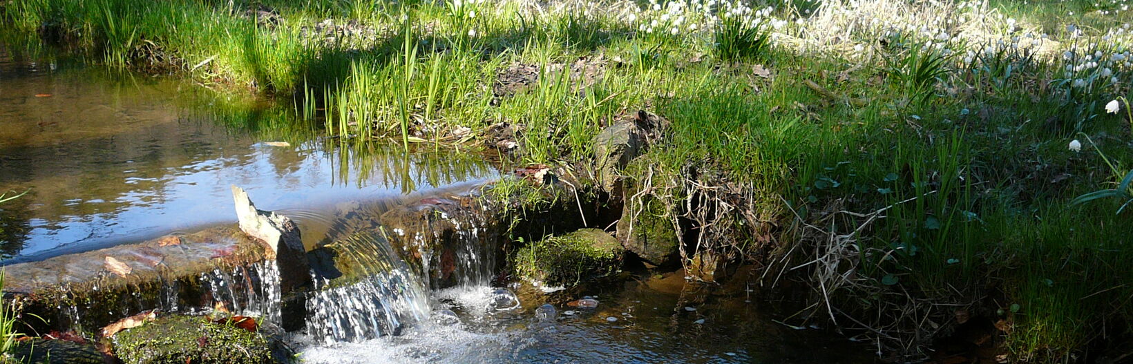 Kirnitzschtal im Frühling