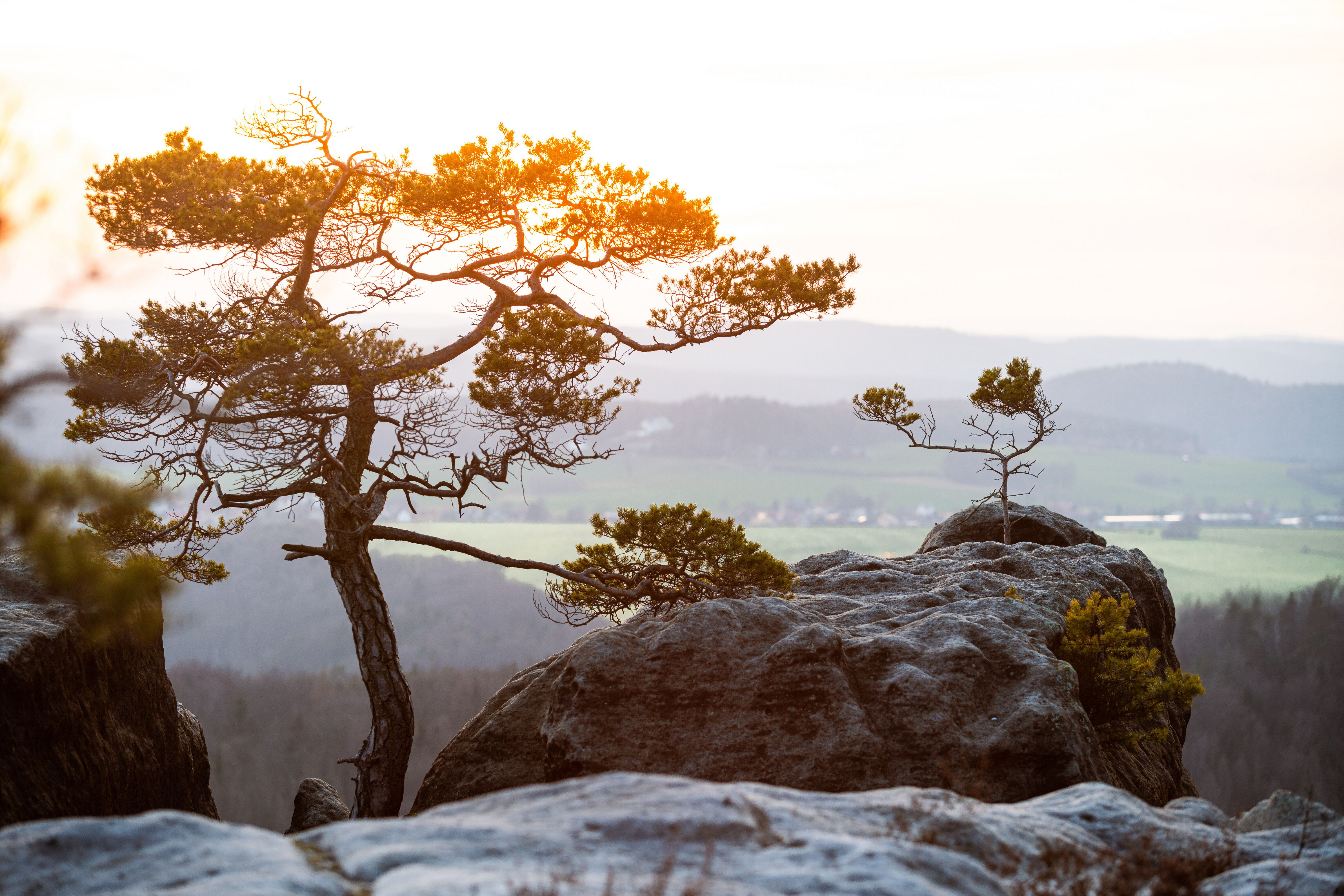 Aussicht vom Lehnsteig Sächsische Schweiz