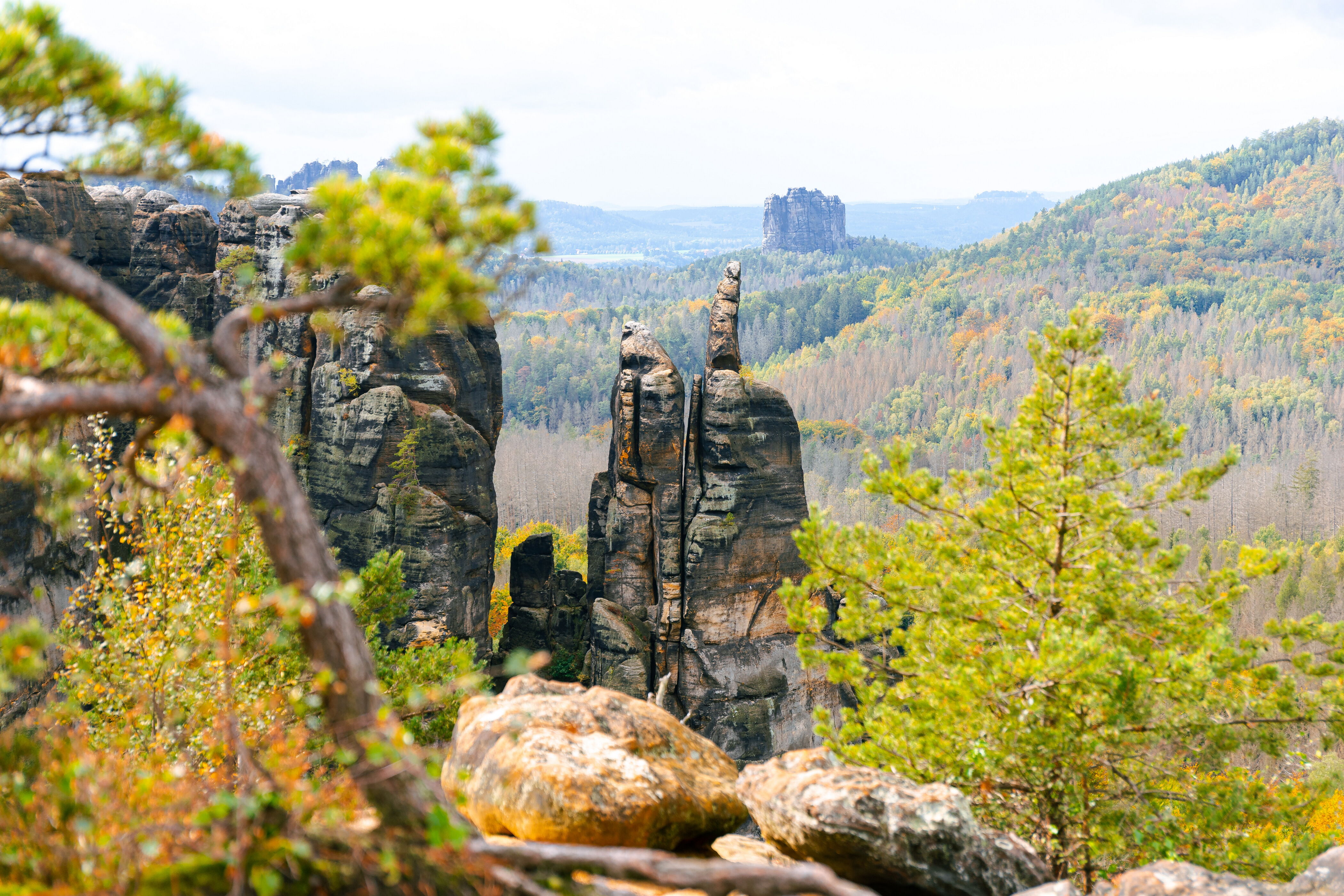 Sächsische Schweiz - Affensteine