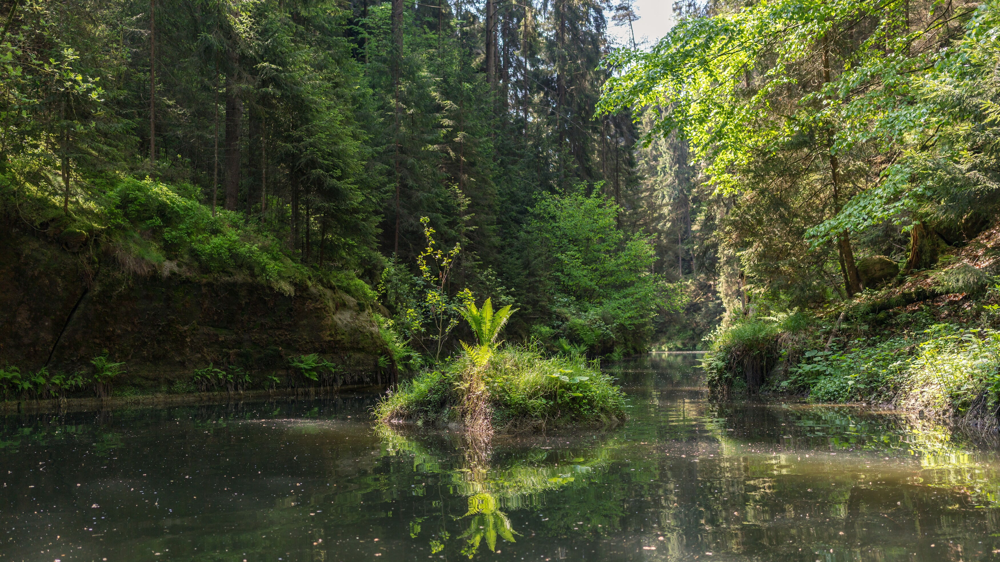 Kirnitzschtal Sächsische Schweiz