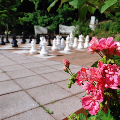 Schachspiel außen im Forsthaus Kirnitzschtal