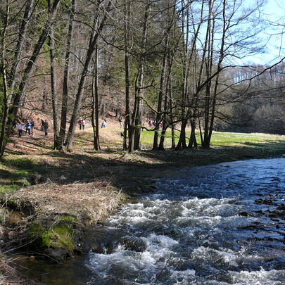 Kirnitzschtal im Frühling
