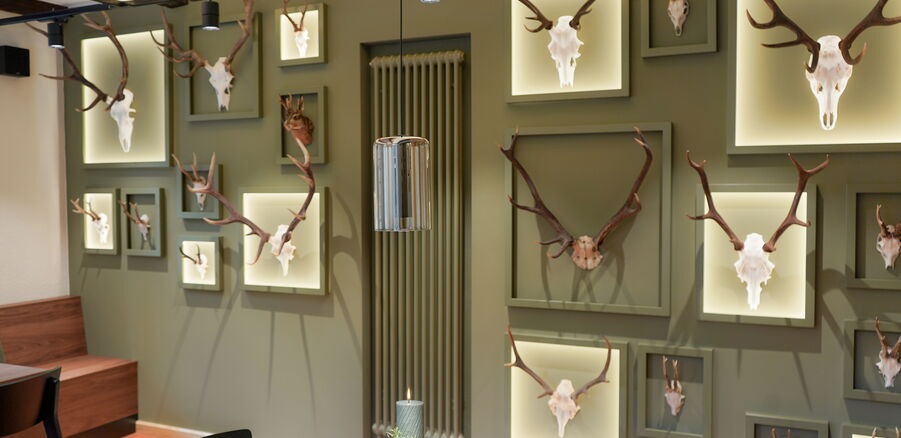 Wildmeisterei im Restaurant Forsthaus im Kirnitzschtal